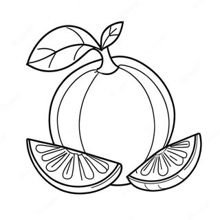 Orange frugt farvelægningsside | Orange malebog