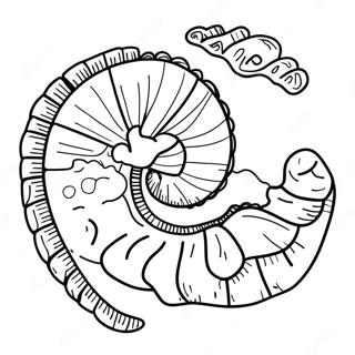 Fossil Malebog | Fossil malebog