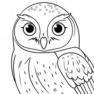 Hedwig Ugle Malebog | Hedvig malebog