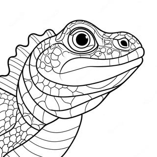 Reptil farvelægningssider | Reptil malebog