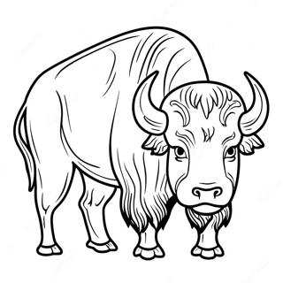 Bison Farvelægningsside | Bison malebog