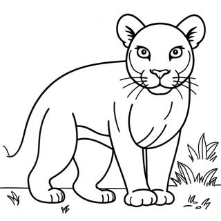 Puma Malebog | Puma malebog