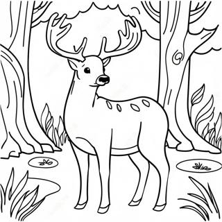 Buck Deer i en Skov Farvelægningsside | Buck malebog
