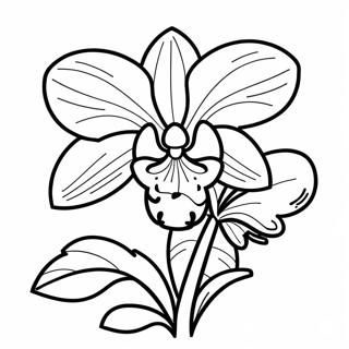 Smuk Orkidé i Blomstring Farvelægningsside | Orkidé malebog
