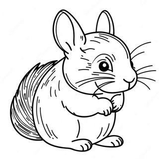 Chinchilla Farvelægningsside | Chinchilla malebog