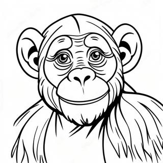 Chimpanse Farvelægningsside | Chimpanse malebog
