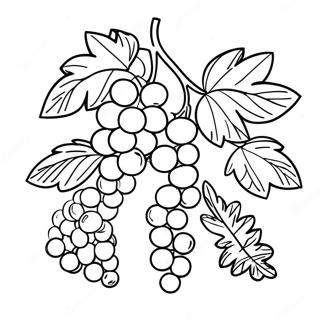 Vine Malebog | Vine malebog