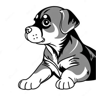Legesyg Rottweiler hvalp farvelægningsside | Rottweiler malebog