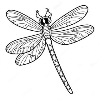 Drageflue Tegning | Drageflue malebog