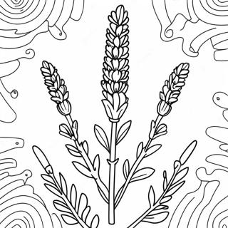 Lavendel Blomst Farvelægningsside | Lavendel malebog
