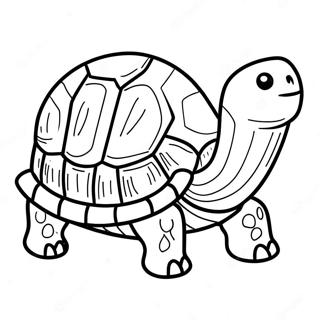 Skildpadde Malebog | Skildpadde malebog