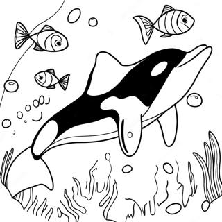 Orka Malebog | Orca malebog