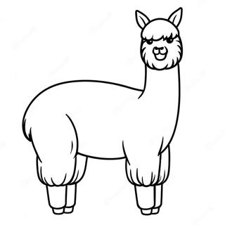 Alpaca farvelægningsside | Alpaka malebog