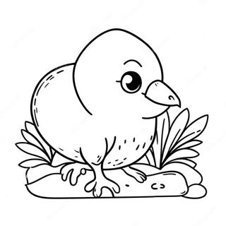 Sød Kiwi Fugle Malebog | Kiwi malebog