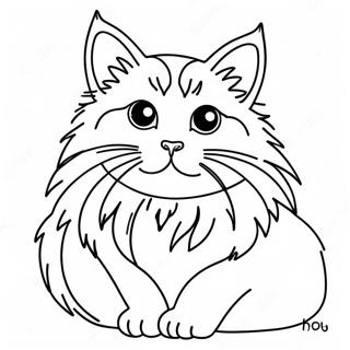Ragdoll Kat Malebog | Ragdoll Kat malebog
