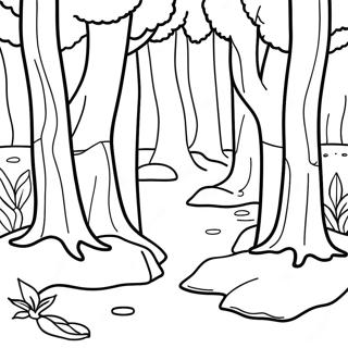 Skov Scene Malebog | Skov malebog