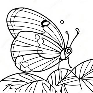 Farverig Leafwing Sommerfugl Farvelægningsside | Bladvinge malebog