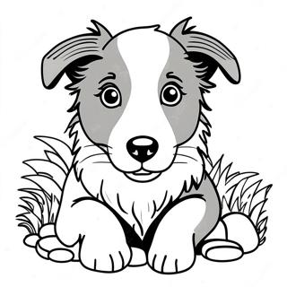 Border Collie Hvalp Farvelægningsside | Border Collie malebog