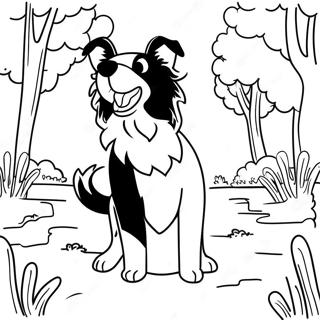 Legesyg Border Collie i Parken Farvelægningsside | Border Collie malebog