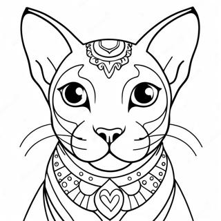 Sphynx Kat Malebog | Sphynx Kat malebog