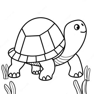 Franklin Skildpadden - Malebog | Franklin malebog