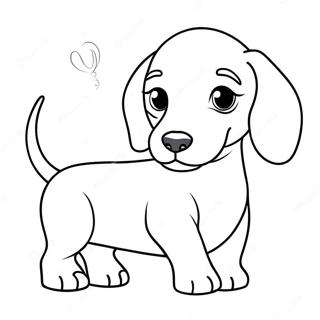 Dachshund Hvalp Malebog | Dachshund malebog