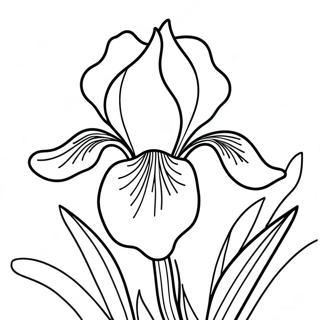 Iris Blomst Farvelægningsside | Iris malebog