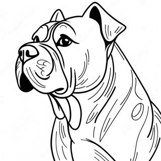 Cane Corso Farvelægningsside | Cane Corso malebog