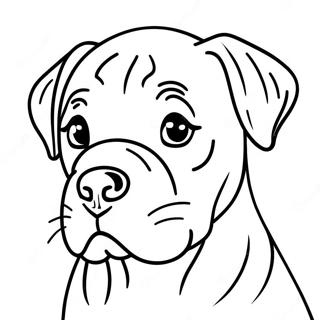 Legesyg Cane Corso Hvalp Farvelægningsside | Cane Corso malebog