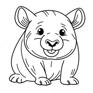 Wombat Malebog | Vombat malebog