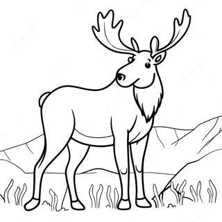Elg Malebog | Elg malebog