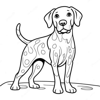 Tysk Korthaired Pointer, der Leger Fetch Malebog | Tysk Korthaired Pointer malebog