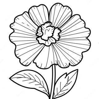 Nelke Blomst Malebog | Nelke malebog