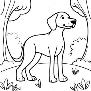 Legesyg Weimaraner i parken farvelægningsside | Weimaraner malebog