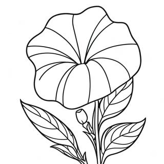Morgenglorie Blomst Malebog | Morgengry malebog