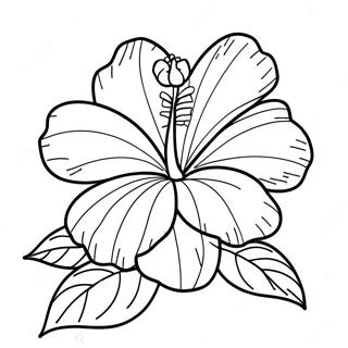 Hibiscus blomst farvelægningsside | Hibiscus malebog