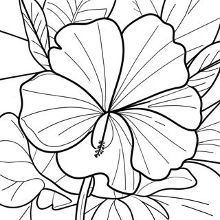 Tropisk hibiscus farvelægningsside | Hibiscus malebog