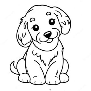 Goldendoodle Hvalp Malebog | Goldendoodle malebog