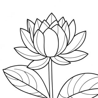 Smuk Lotus i Blomstring Malebog | Lotus malebog
