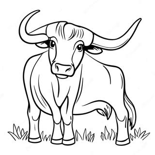 Texas Longhorn Styr farvelægningsside | Texas malebog